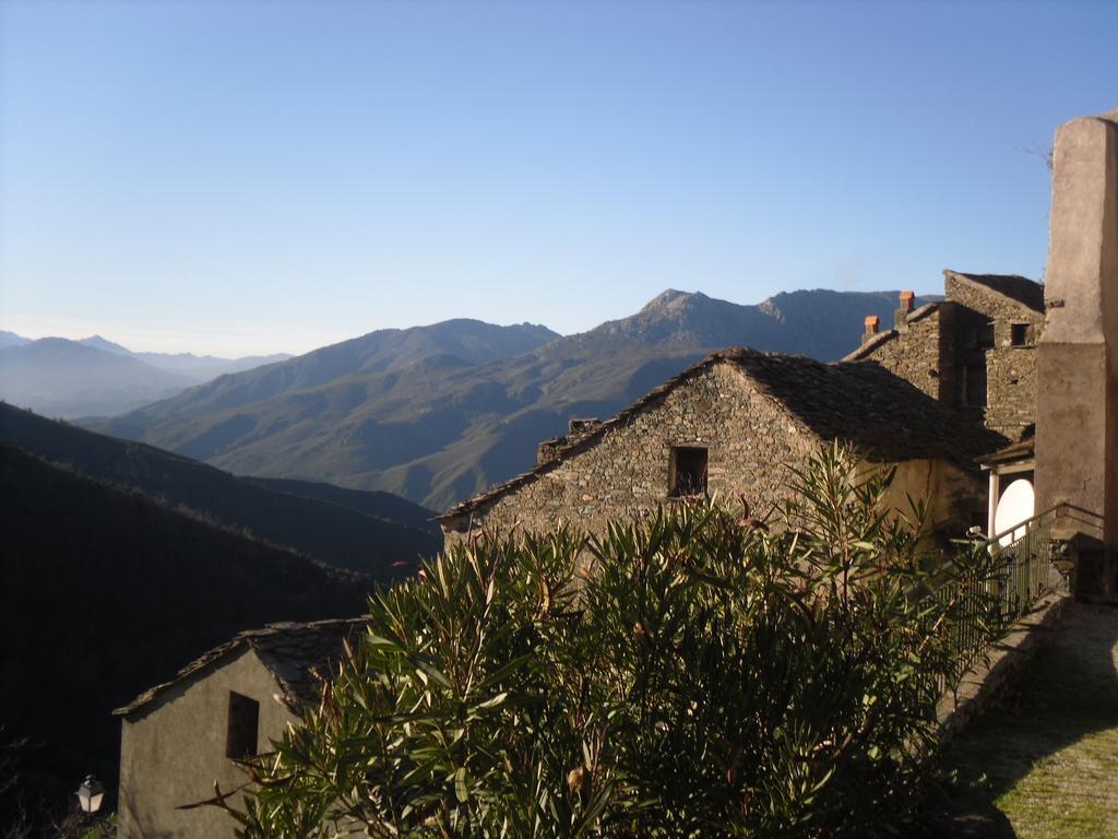 Chambre D'Hotes La Marlotte Castello-di-Rostino Exterior photo